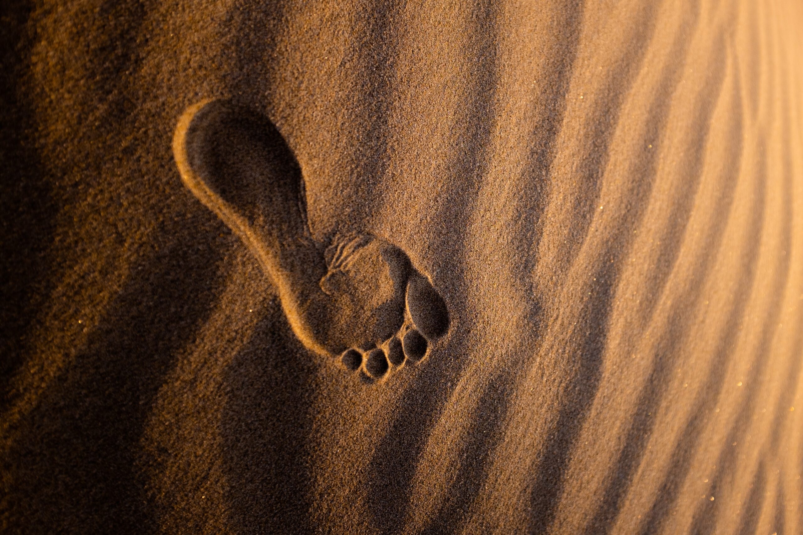 Foto di Jeremy Bishop su Unsplash